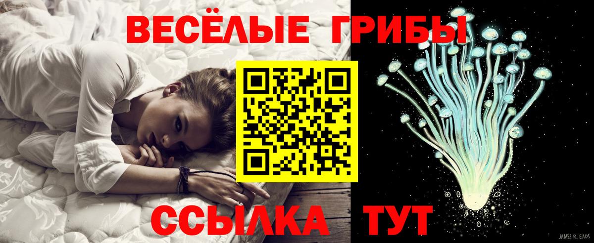 Галлюциногенные грибы ЛСД  Вход с VPN  сколько стоит  Ефремов 